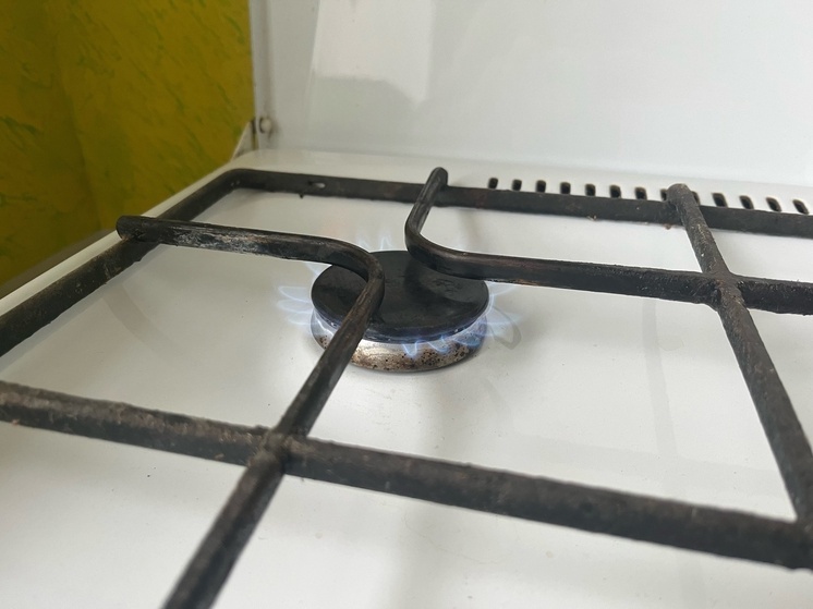 В Тельмановском МО ДНР запланировали мероприятия по развитию системы газоснабжения