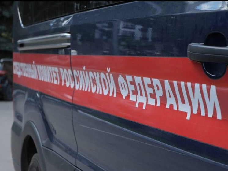 СК описал картину гибели мужа и жены в тульском поселке Дубна