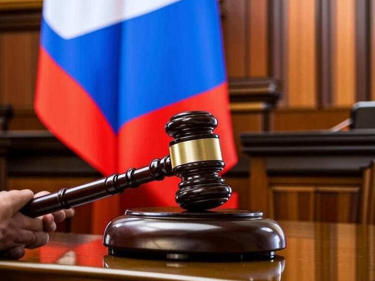 Карельские риелторы и юристы ждут разъяснений от суда по делу Долиной