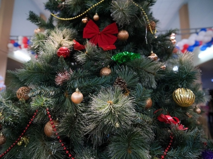 Молодые волгоградцы подозреваются в краже новогодней елки из подъезда