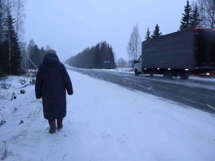 Деревня Мокрушины борется за право школьников на безопасный путь к знаниям