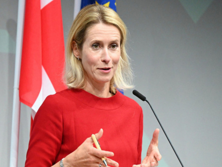 Мема: Каллас переживает, что членство Киева в НАТО исключает мир на Украине