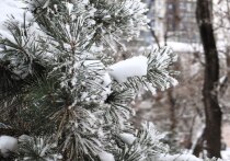 Снеговиков лепить, к сожалению, не будем
Синоптики Примгидромета заглянули в свои хрустальные шары - то есть, в суперкомпьютеры - и подготовили предварительный прогноз на самый волшебный период года