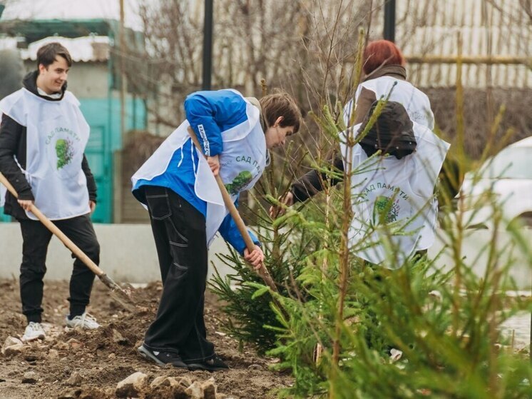 В Мелитополе высадили более ста деревьев в парке участников СВО