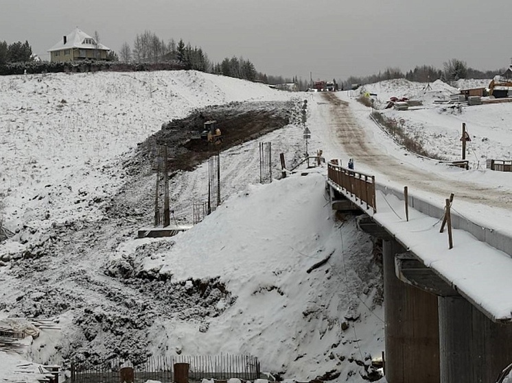 В Приморском округе возводят опоры нового моста на важной дороге