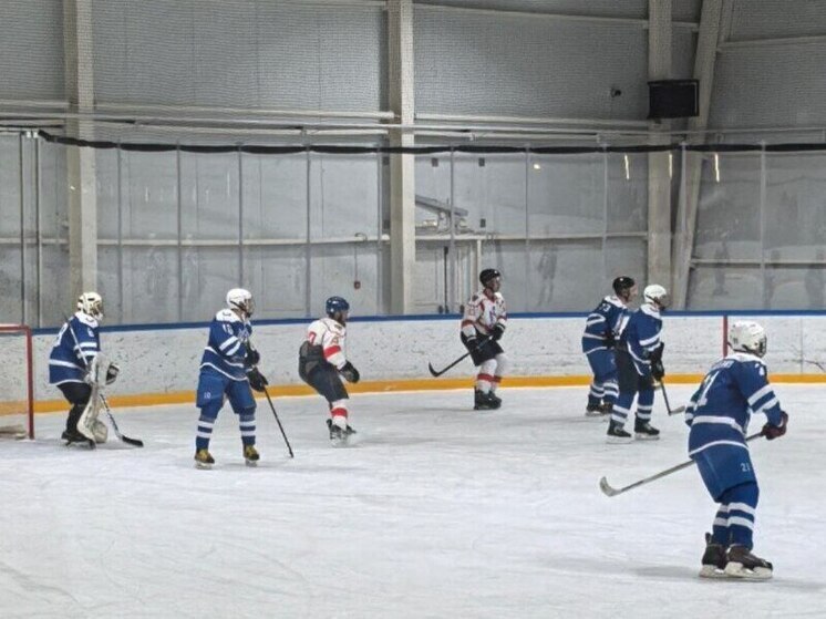 «Десна» обыграла брянских хоккеистов «Динамо-Транснефть»