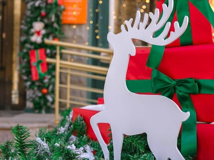 Новогодние подарки от губернатора: как и где получить родителям во Владивостоке