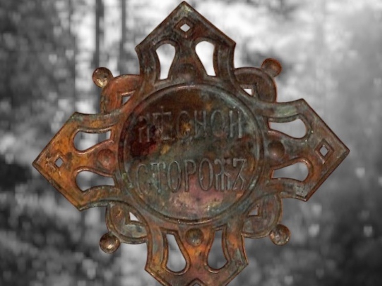 В Архангельской области нашли уникальный знак лесничего имперской эпохи