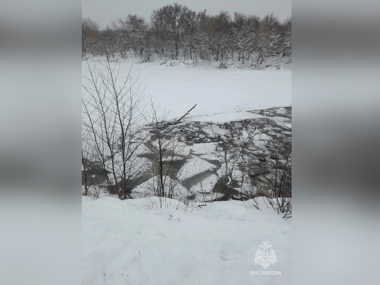 В Башкирии под лед провалилось целое стадо баранов