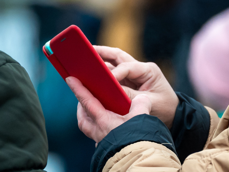 В Челябинской области силовики поймали двух «связистов» мошенников