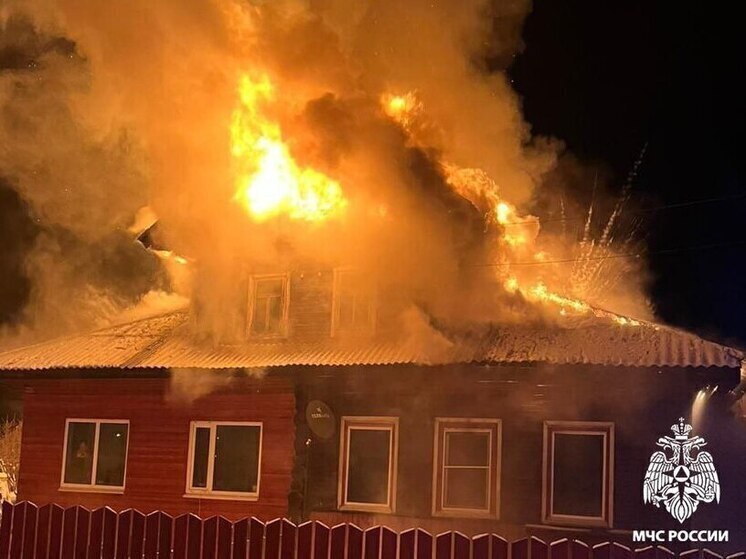 В Вологодской области в пожаре погибли женщина и двое детей