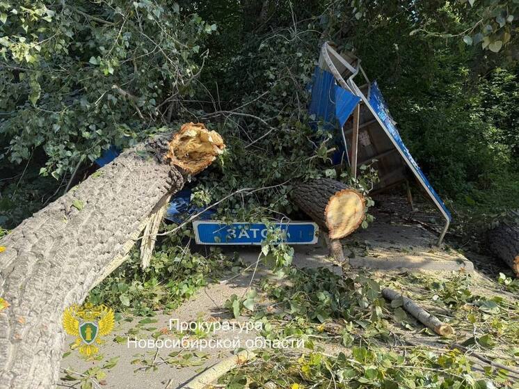 Администрация Ленинского района выплатит полмиллиона рублей женщине