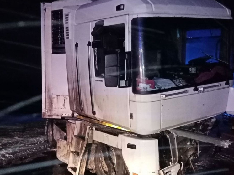 Водитель грузовика погиб в Ростовской области, врезавшись в дерево