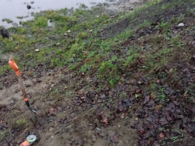 Под Тверью вблизи реки сливали канализационные отходы