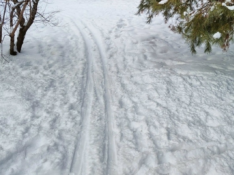 Лыжникам-любителям рассказали, где можно кататься в Магадане