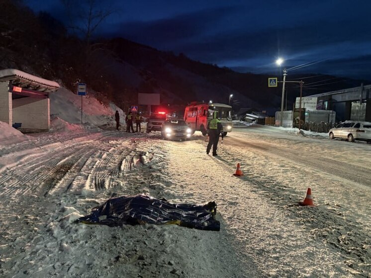 В Горно-Алтайске мусоровоз насмерть сбил женщину