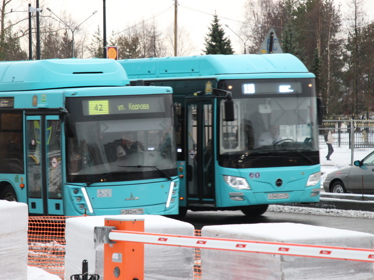 С ТК «РИКО» взыскали компенсацию за опоздание автобуса в Архангельске