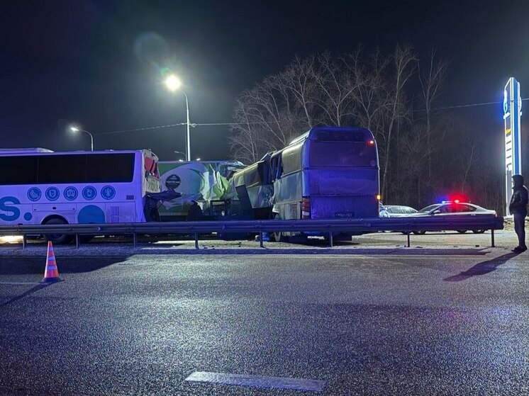 После ДТП с участием автобусов в Воронежской области возбудили уголовное дело