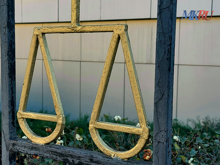 Калужский пенсионер совершил дерзкую кражу из библиотеки