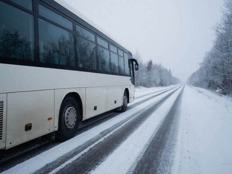 Между Нижневартовском, Пасолом и Сосниной запустили автобусное сообщение по зимнику