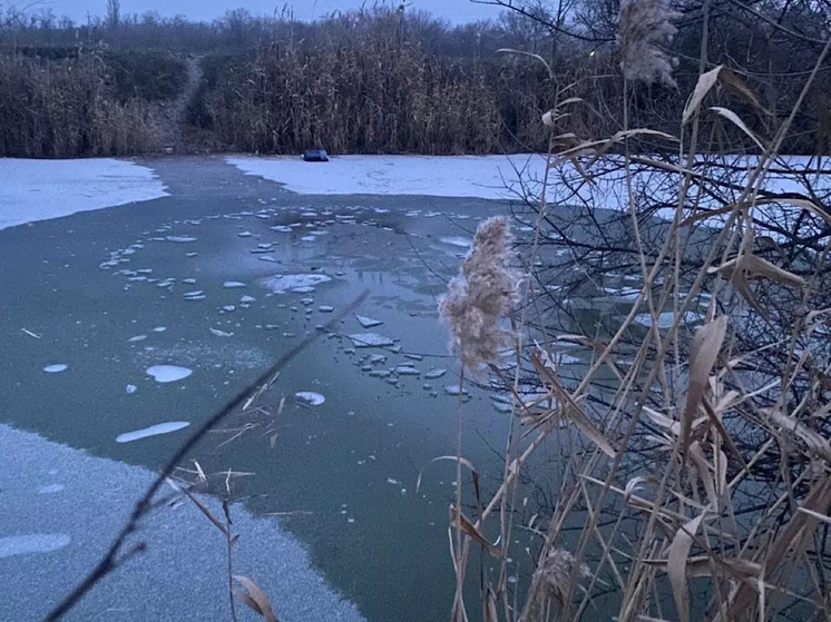 В Ростовской области первая в сезоне гибель на льду произошла из-за попытки сократить дорогу