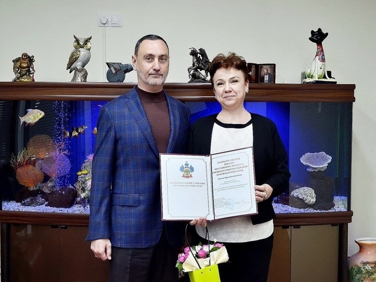 Политик Виктор Тепляков вручил Почетные грамоты специалистам медицины и образования Сочи