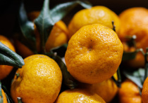 Запах мандарина — это запах детства, ёлки, обещания чуда