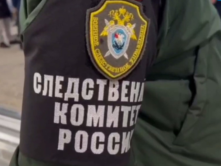 Два случая гибели младенцев без признаков насилия расследуют в Северной столице