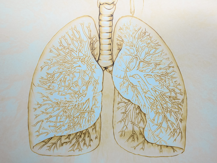 Челябинский инфекционист рассказала, чем опасен гонконгский грипп
