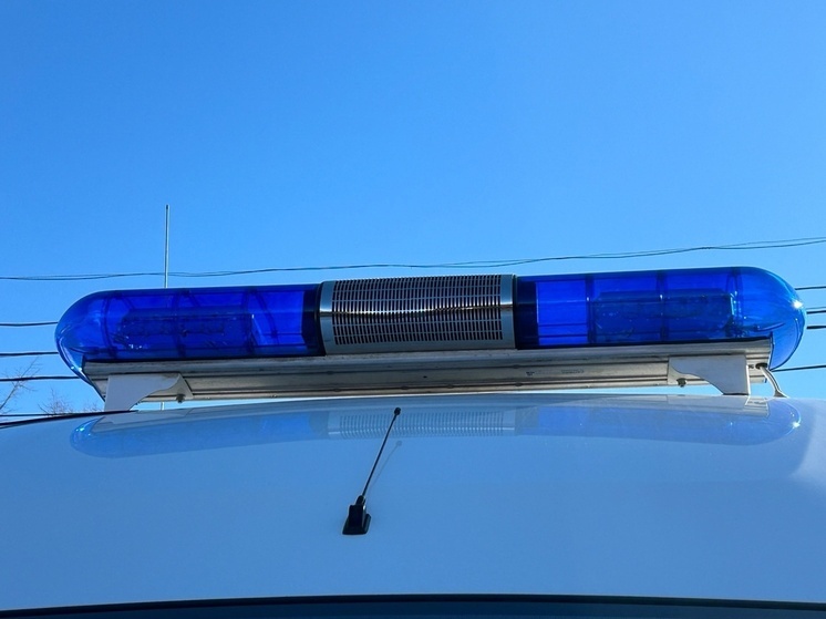 Жительница Тотьмы на чужие деньги накупила техники, одежды, еды и закрыла кредит матери