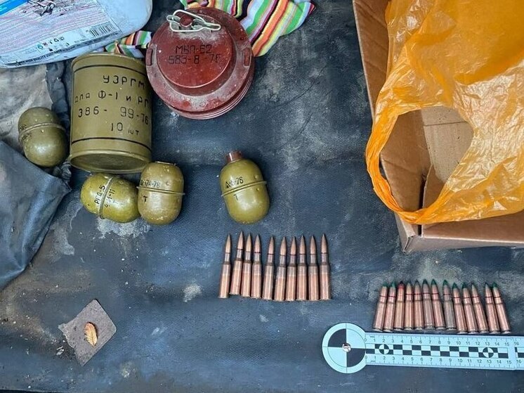 Два мелитопольца задержаны при попытке продажи боеприпасов