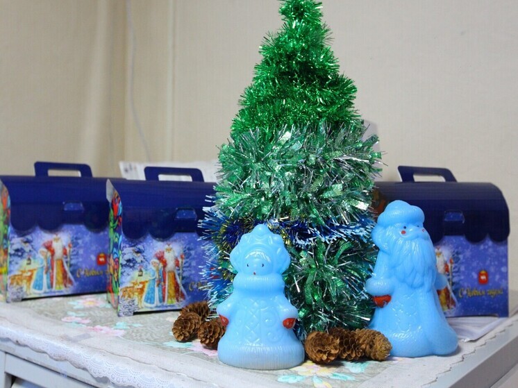 В Челябинской области сладкие новогодние подарки получат больше 215 тысячи детей