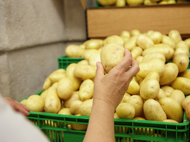 Ущерб за сорванный «картофельный» госконтракт будет возмещен Кировской области