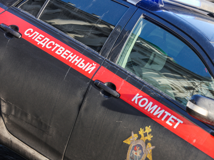 Ученица заявила, что напавший с ножом на школу в Одинцово подросток был тихим внешне ребенком