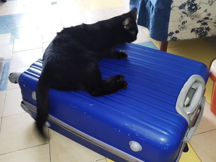 В Мурманской области запустят спецтур «Сердце Арктики» для иностранцев