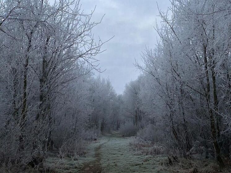 Синоптики 17 декабря прогнозируют в Смоленске пасмурную погоду
