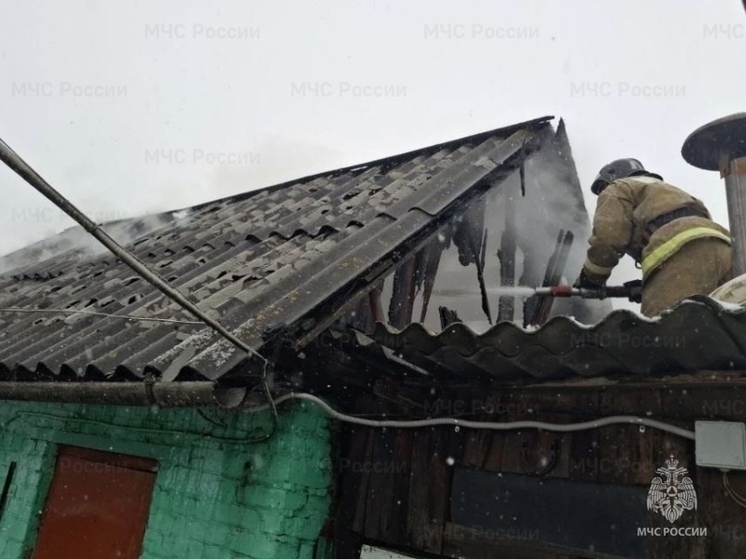 В Орловской области сгорела кровля хозпостройки
