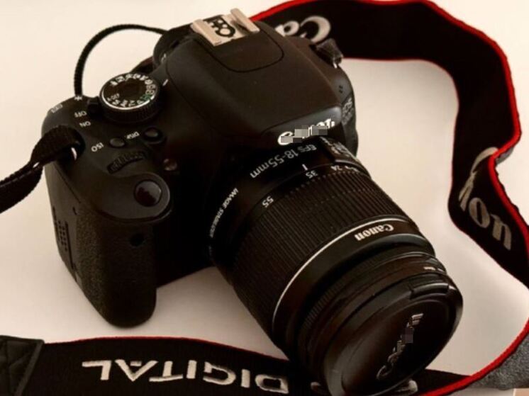 Николай Цискаридзе возмутился фотосессией журналистки в Большом театре