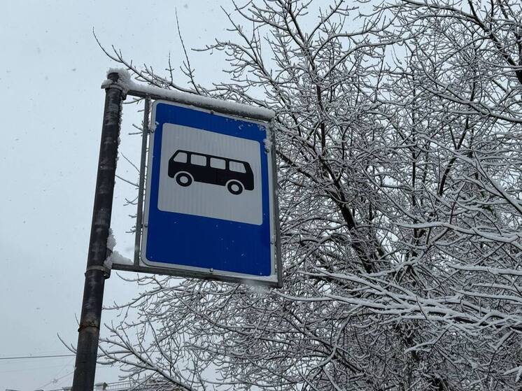 Новогодние билеты на автобус Петрозаводск — Петербург подорожают