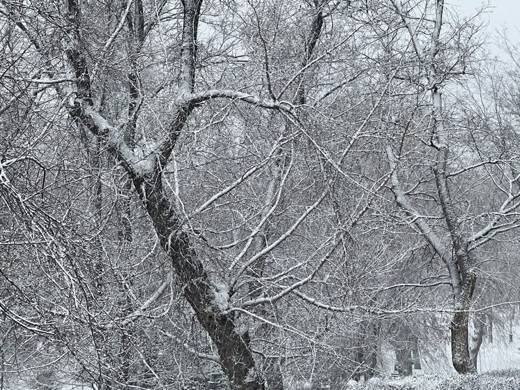 Какой сегодня день по народному календарю

17 декабря православная церковь чтит память святой великомученицы Варвары, покровительницы огня, молний и защиты от внезапных бед