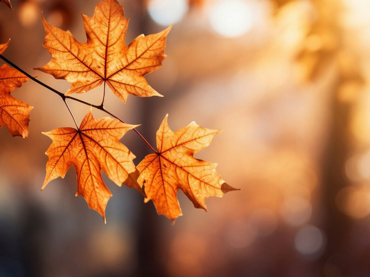 8 градусов тепла прогнозируют в Херсонской области 17 декабря