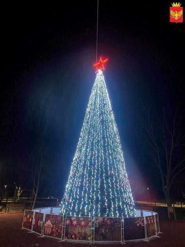Парк «Юбилетный» в Приморске Запорожья обзавелся 12-метровой елью и сказочной атмосферой