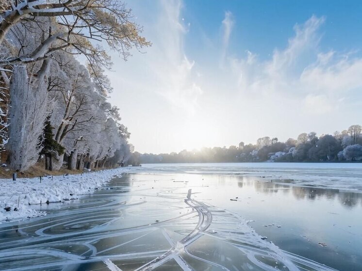 Стали известны подробности гибели 9-летнего ребенка на тонком льду под Воронежем