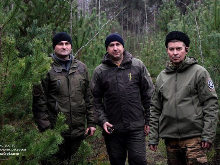 Казаки и волонтёры присоединились к охране молодых хвойных лесов в Курской области