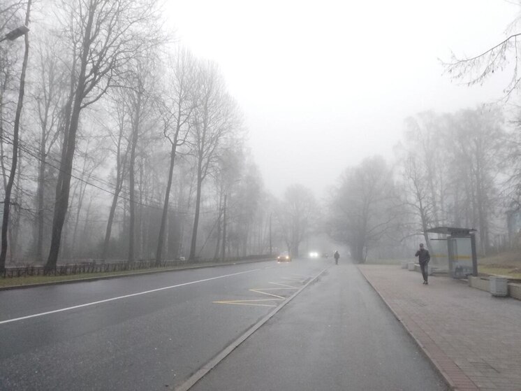 Дождь, морось и до +5 градусов ждут ленинградцев 17 декабря