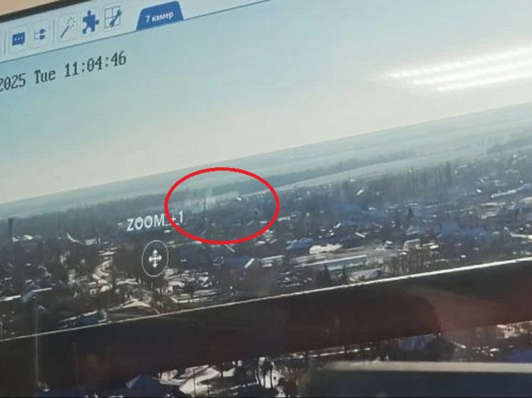 Частный дом сгорел в сельском поселении Ростовской области