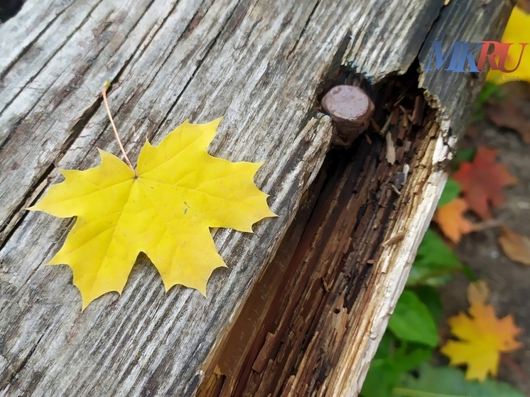 Под Калугой взяли под охрану новый памятник