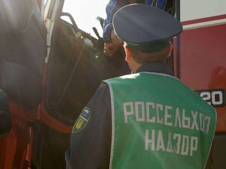 Специалисты алтайского Россельхознадзора за последние две недели проверили более 160 транспортных средств на границе с Казахстаном. Всего за это время они пресекли ввоз 183 тонн различной продукции с фитосанитарными нарушениями в регион.