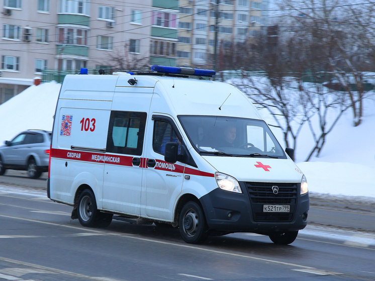 Трупы нашли в квартире на Васильевском острове в Петербурге