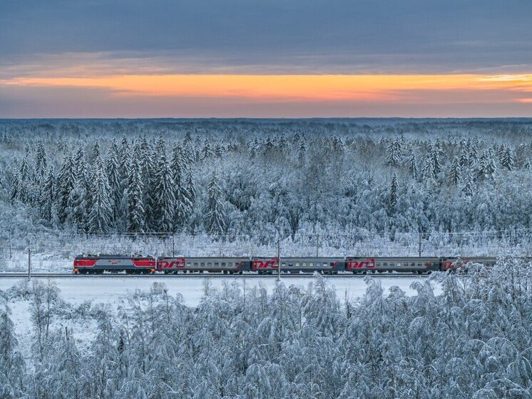 Ярославцы смогут добраться к Деду Морозу на новогоднем экспрессе